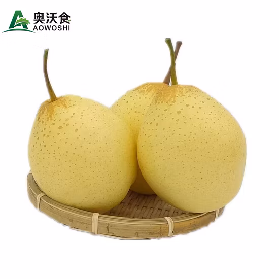 Vendita di pere gialle fresche cinesi 2023 della nuova stagione con la massima qualità