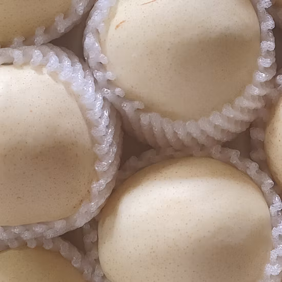 Pera cinese fresca Fengshui di buona qualità